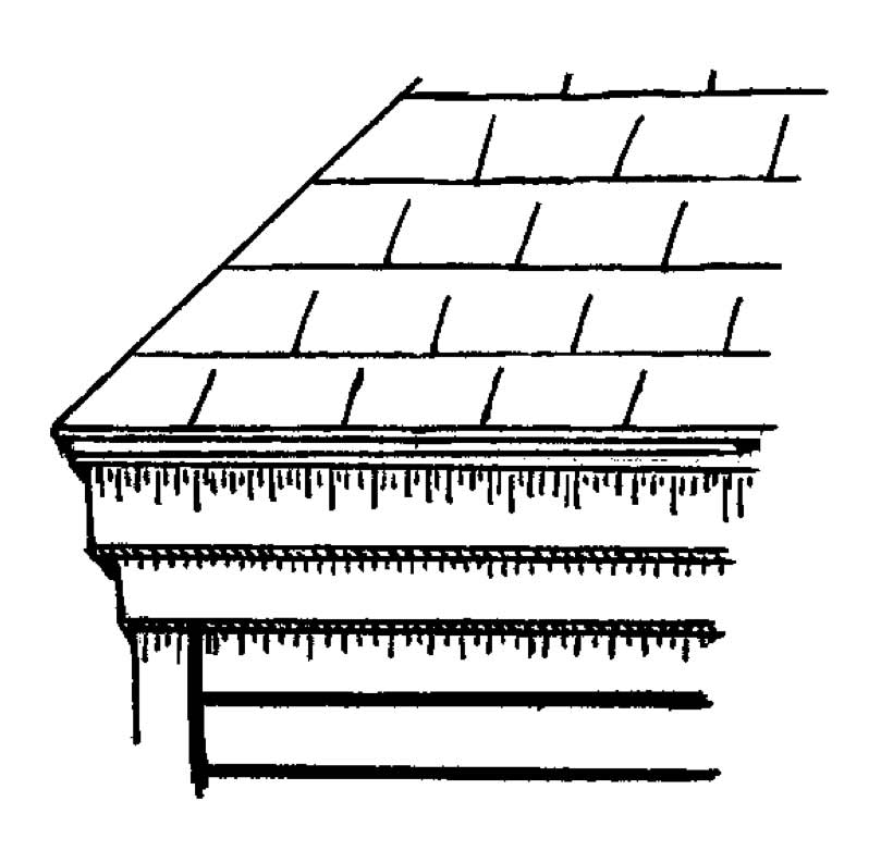 Roof Trim Maintenance