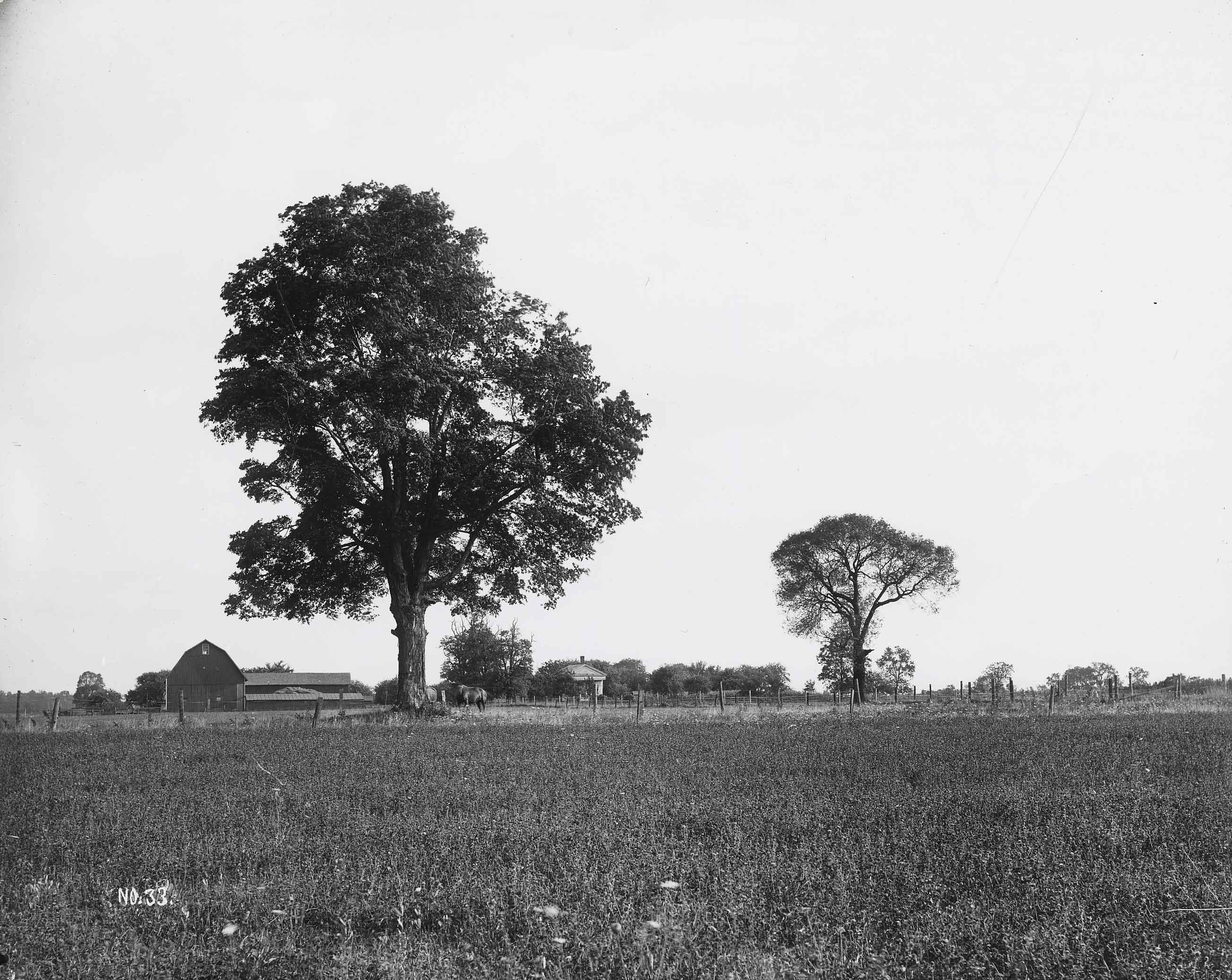 Peter Whitmer Farm