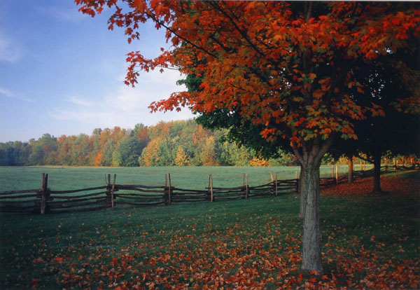 Joseph Smith Farm