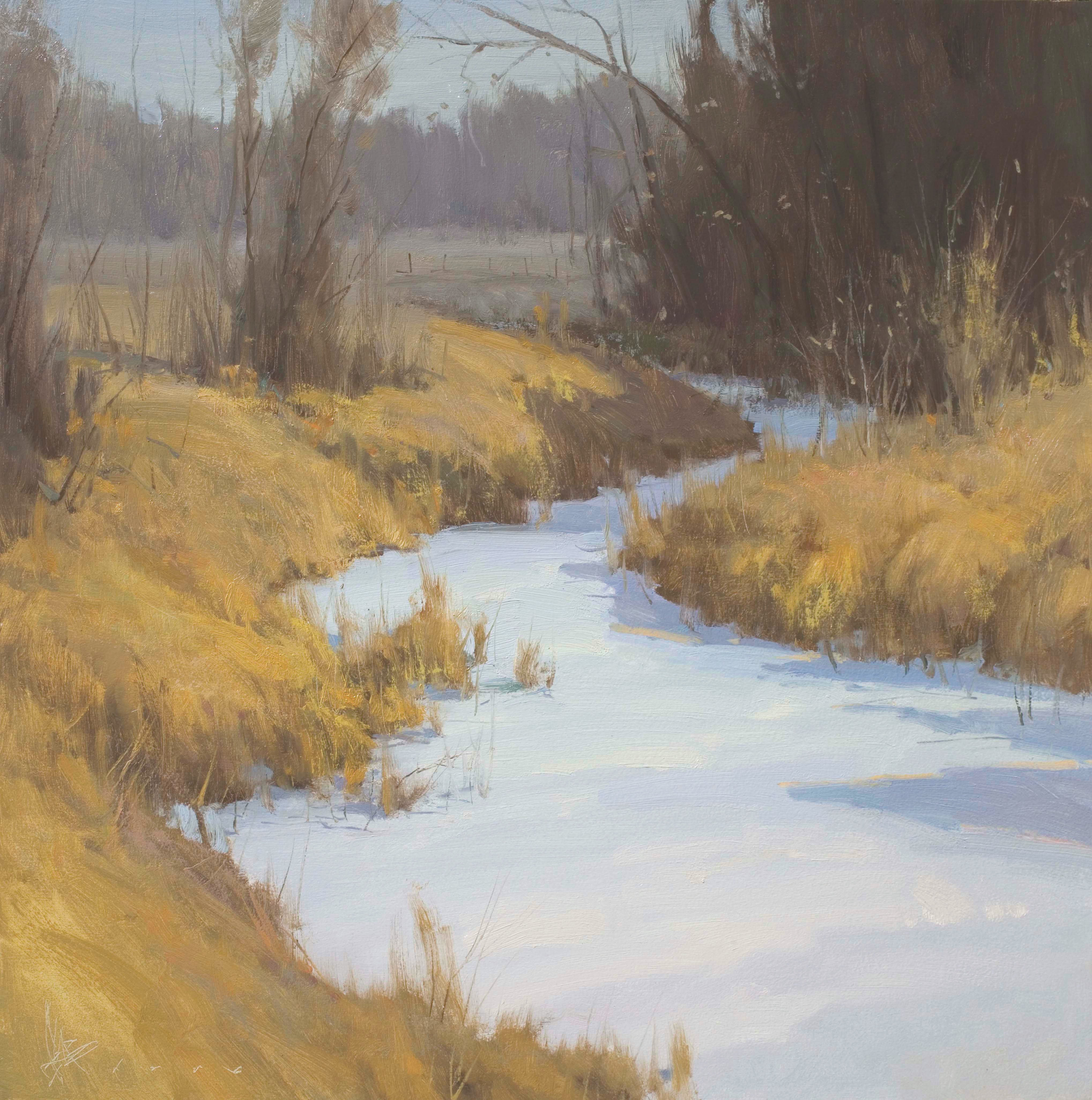 Snow, grasses and trees at Mount Pisgah, Iowa.
