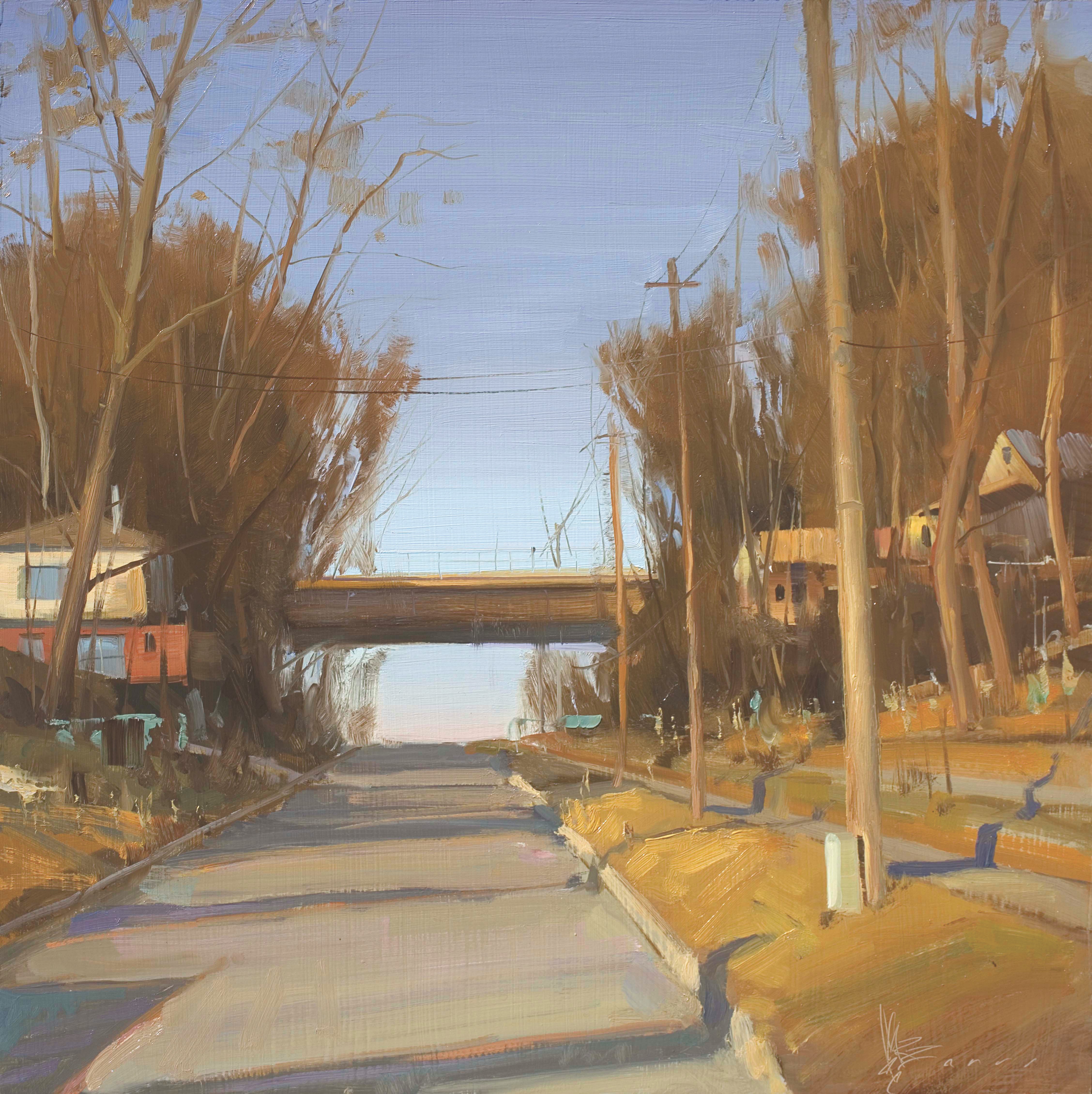 A road and footbridge at Temple Hill, Nebraska. There are homes and telephone poles on the sides of the road.