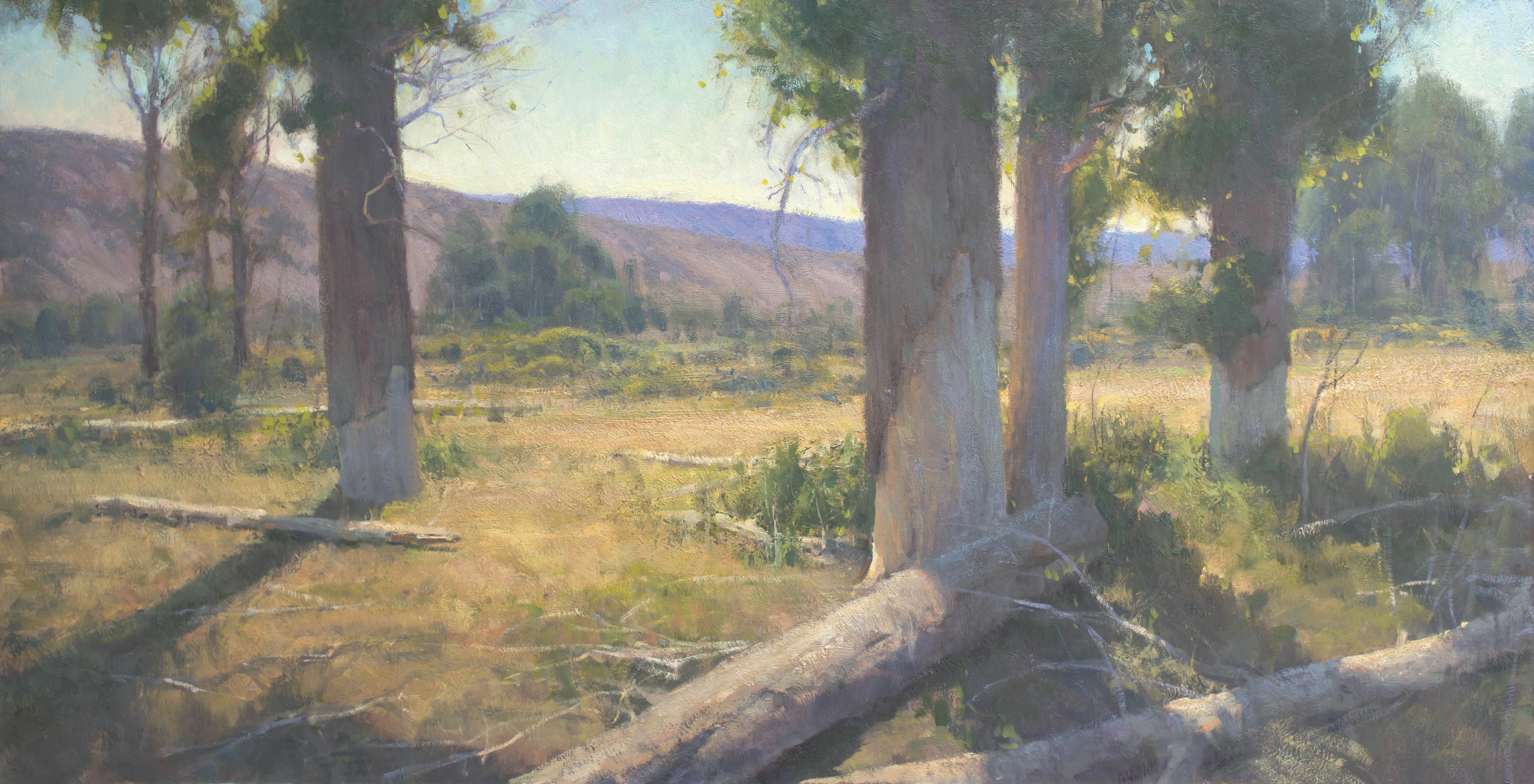 Landscape painting depicting trees and logs from fallen trees at the Muddy Creek Camp area in Wyoming.
