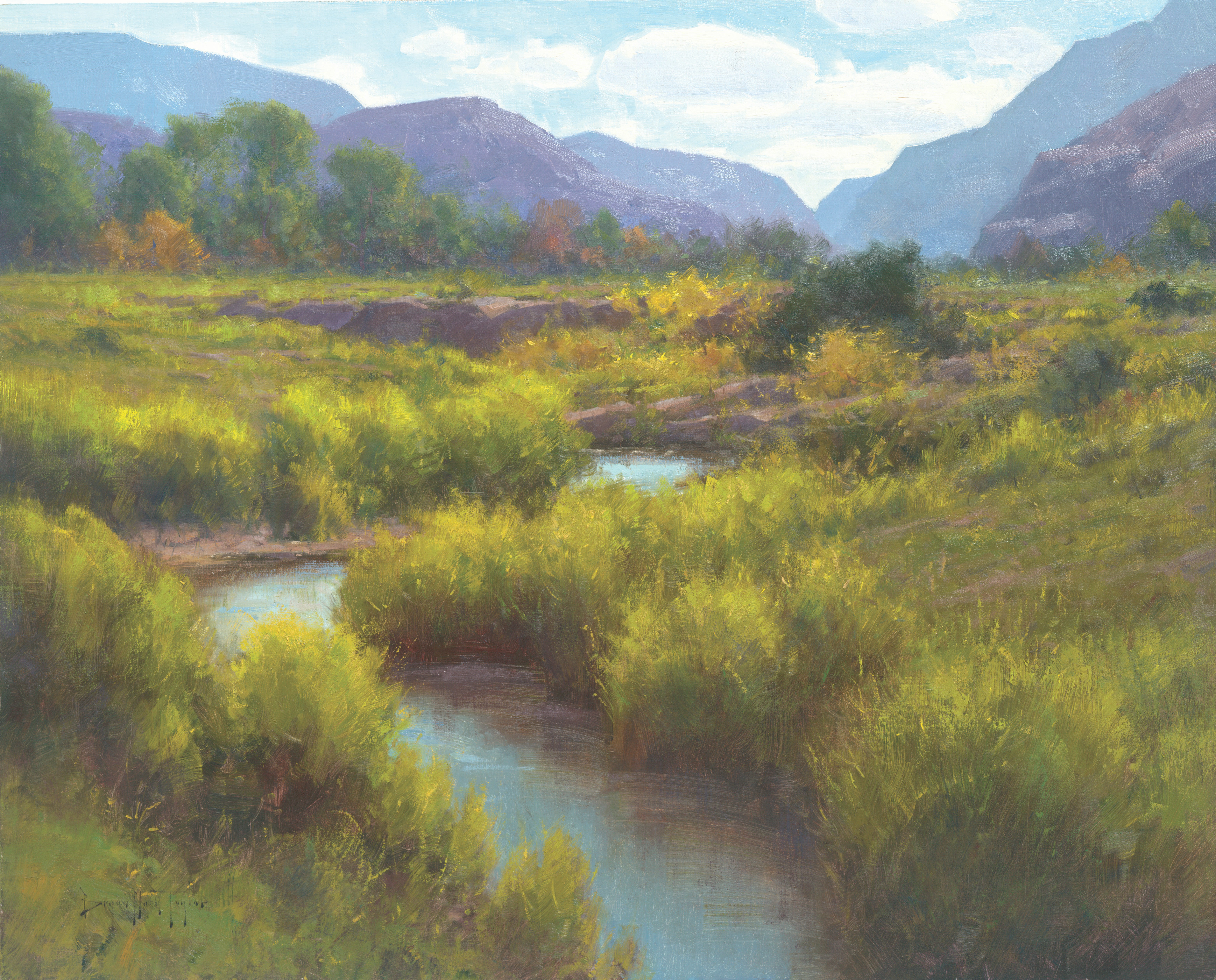A stream and meadow in Echo Canyon, Utah. There are mountains in the background.