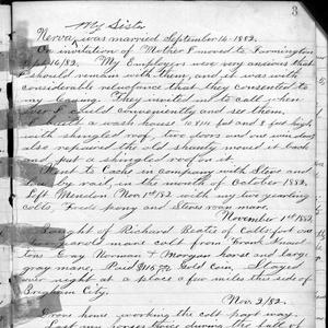 A page from George F. Richards's journal containing accounts of his work and business transactions. The 1 November 1882 entry relates his purchase of horses. (Church History Library, Salt Lake City.)