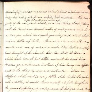 "Our sufferings were intense, and from what I saw, I judged that my sufferings were not near as excruciating as some of the others." A transcript of the complete journal entry is available <a href="/george-q-cannon/1850s/1855/05-1855#p23">here</a>.