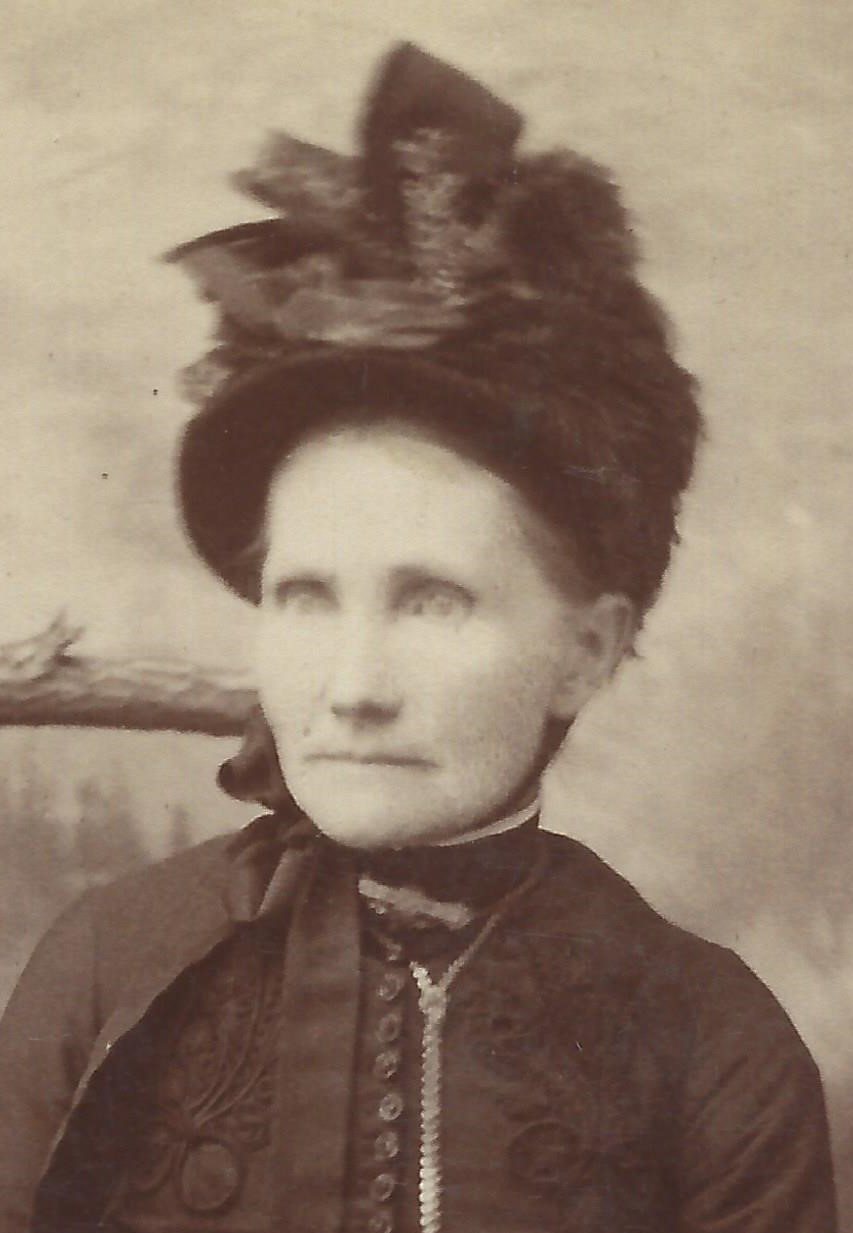 Sarah Ellen Barnes (1826 - 1906) Profile