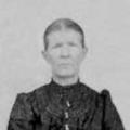 Alice Virginia Allred (1854 - 1928) Profile