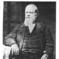 John Bair (1810 - 1884)