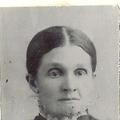 Polly Elvira Benson (1839 - 1928) Profile