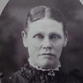 Sarah Clarinda Bingham (1850 - 1927) Profile