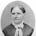 Sarah Ann Brown (1846 - 1893) Profile