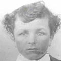 Andrew Patterson Burt (1850 - 1918) Profile