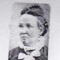 Lavina Wheeler Calkins (1815 - 1882) Profile