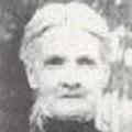 Mary C. Condie (1845 - 1922) Profile