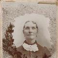 Adelia Belinda Cox (1841 - 1923) Profile