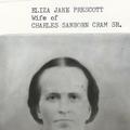 Eliza Jane Prescott (1826 - 1881) Profile