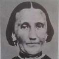Phoebe Davies (1828 - 1872) Profile