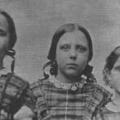 Agnes Ann Farmer (1845 - 1930) Profile