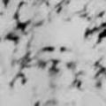 Henry Charles Fisher (1844 - 1929) Profile