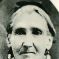 Anna Bibbins Chaffee (1811 - 1881) Profile
