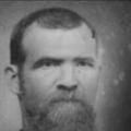 Moses Washington Gibson (1840 - 1912) Profile