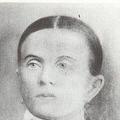 Frances Goddard (1844 - 1904) Profile