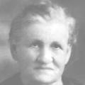 Nicholaus Patterson Gourley (1844 - 1938) Profile