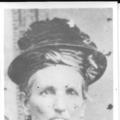 Vienna Potter (1825 - 1904) Profile