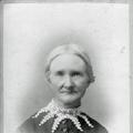 Mary Hemingway Healey (1829 - 1906) Profile