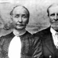 William Dorris Hendricks (1829 - 1909) Profile