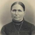 Agnes Hood Hill (1845 - 1920) Profile