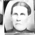 Phoebe Augusta Hubbard (1841 - 1919) Profile