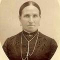 Harriet Fidelia Johnson (1837 - 1919) Profile