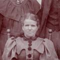 Comfort Jolley (1845 - 1928) Profile