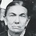 Amy Amelia Jones (1831 - 1912) Profile