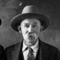 Journal Alonzo Palmer (1847 - 1920) Profile