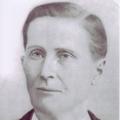 George Josiah Marsh (1830 - 1916) Profile