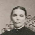 Louisa McCauslin (1841 - 1917) Profile