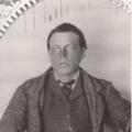 Austin Taylor Merrill (1845 - 1895) Profile