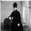 Sarah Bethula Palmer (1851 - 1935) Profile