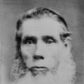 David Brooks Park (1839 - 1908) Profile