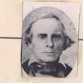 Harrison Gray Otis Peck (1811 - 1890) Profile