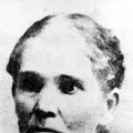 Lavina Patten (1820 - 1900) Profile
