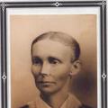 Amanda Ellen Hollingshead (1838 - 1903) Profile