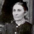 Amanda Ellen Perkins (1838 - 1915) Profile
