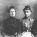 Eliza Clarissa Perry (1851 - 1928) Profile