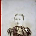 Annie Marie Larsen (1851 - 1901) Profile