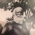 Peder Taylor Peterson (1841 - 1928) Profile