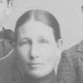 Mary Lovina Phelps (1845 - 1928) Profile