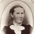 Nancy Jane Rawlins (1845 - 1928) Profile